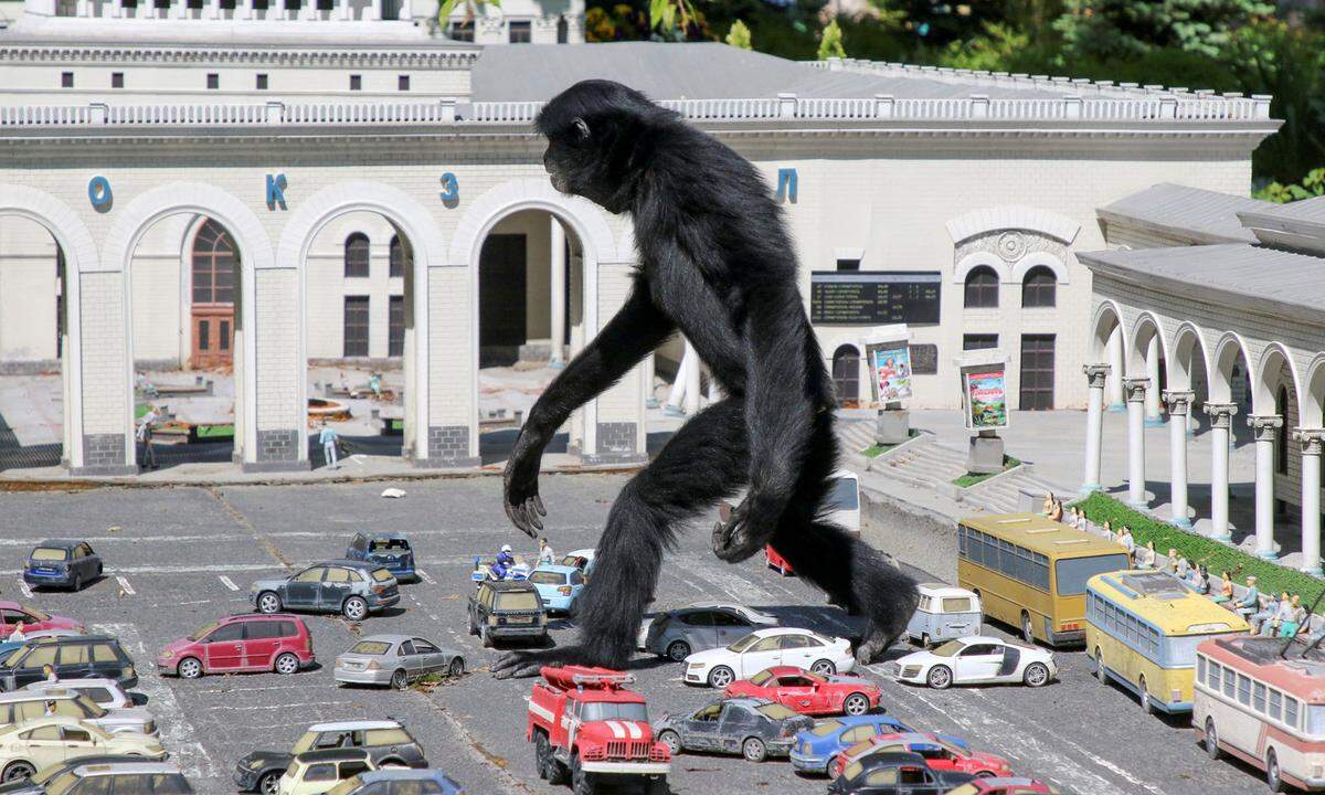 24. Mai. King Kong? Planet der Riesenaffen? Nur in einer Miniaturenwelt auf der von Russland annektierten Krim: Dort spaziert ein riesiger Gibbon, ein schwanzloser Affe, über Autos in einem Modellzoo.