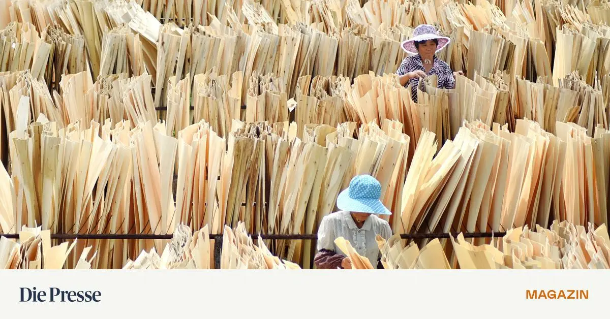 EU-Entwaldungsverordnung-Chinesische-Lieferanten-wollen-keine-Geodaten-liefern-premium-