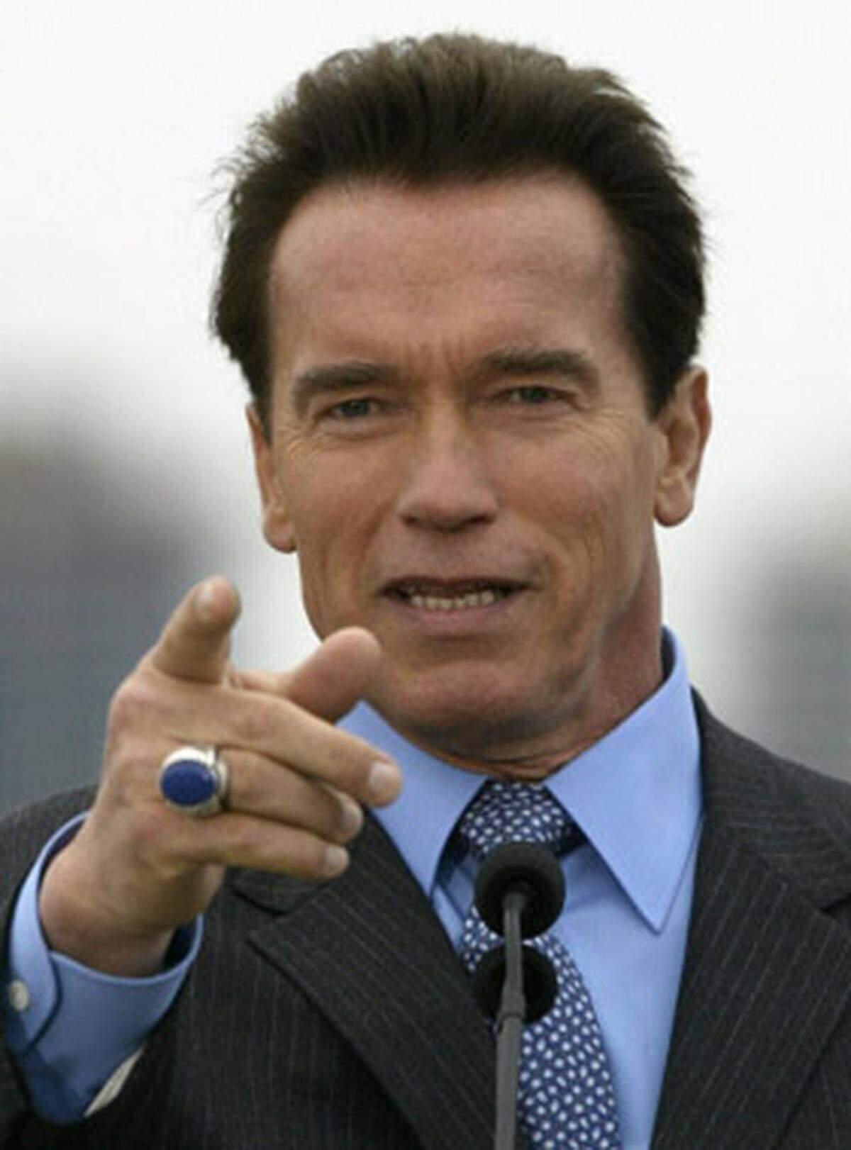 Nach sieben Jahren an der Spitze von Kalifornien endet die Zeit von Arnold Schwarzenegger als Regierungschef von Kalifornien. Nachfolger des republikanischen Gouverneurs ist der Demokrat Jerry Brown.