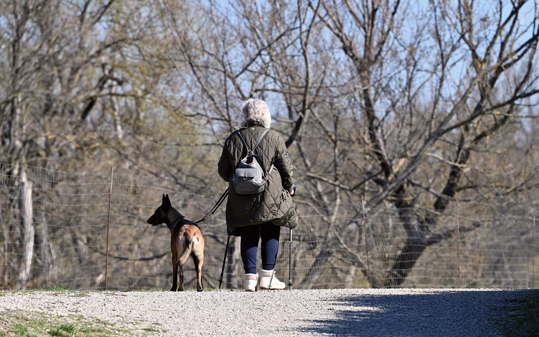 Pensionskosten erhöhen sich bis 2030 auf 4,23 Prozent des BIP
