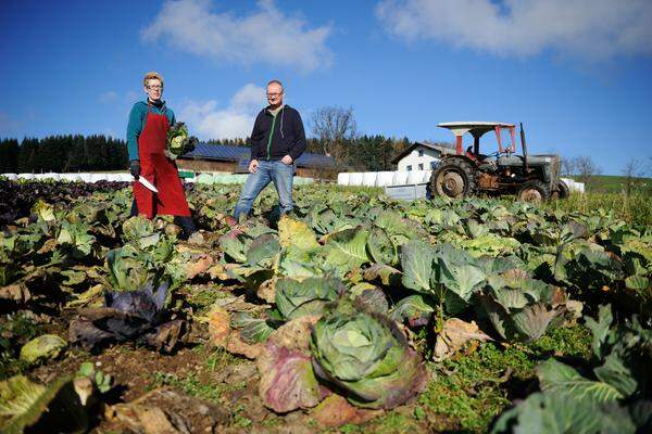 Zwischen Oktober und November beginnt am Froihof die Krauternte.