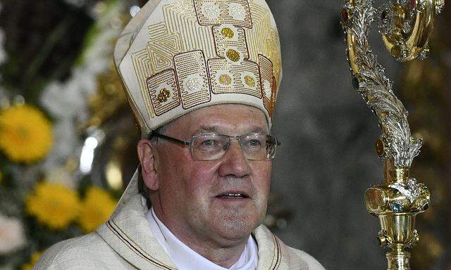 Die Versetzung des Kärntner Diözesanbischofs Alois Schwarz nach St. Pölten hat im vergangenen Jahr eine ganze Reihe von Konflikten aufbrechen lassen