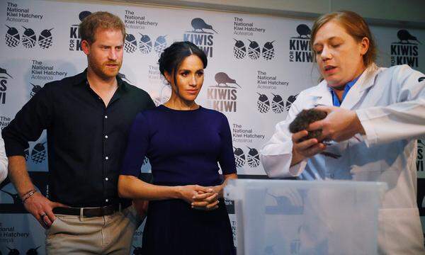 Nachwuchs bei den Royals: Im „Rainbow Springs“ Naturpark dreht sich alles um den Kiwi, dem Nationalsymbol Neuseelands. In einer Aufzuchtstation wurde der herrschaftliche Besuch Zeuge einer Kiwi-Geburt.