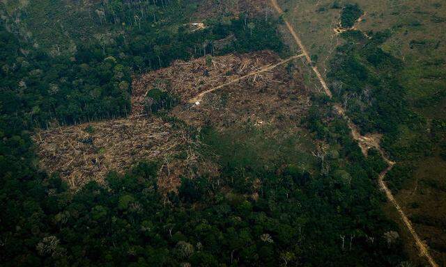 BRAZIL-FIRE-DEFORESTATION-AMAZON