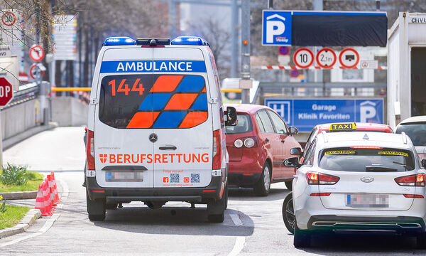 ++ ARCHIVBILD ++ AFFENPOCKEN - ERSTER VERDACHTSFALL IN OeSTERREICH AUS WIEN GEMELDET