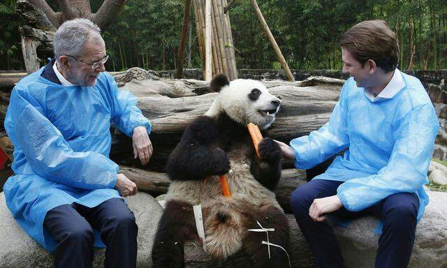 Kanzler Kurz und Präsident Van der Bellen beim Staatsbesuch in China im April 2018.