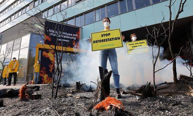 Greenpeace activists stage a protest against deforestation of the Amazon rainforest, in Vienna