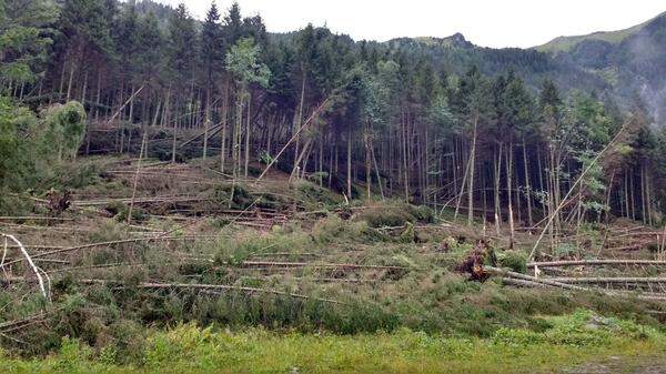 Schäden am Wald in der Gemeinde Kleinsölk, Steiermark.