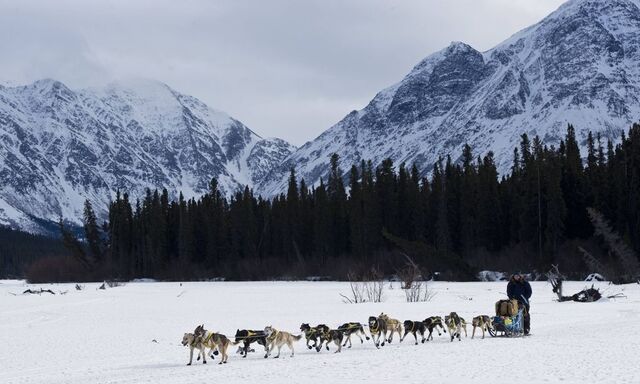 March 8 2016 Rainy Pass Alaska U S Marc Lester Alaska Dispatch News Melissa Owens leaves t