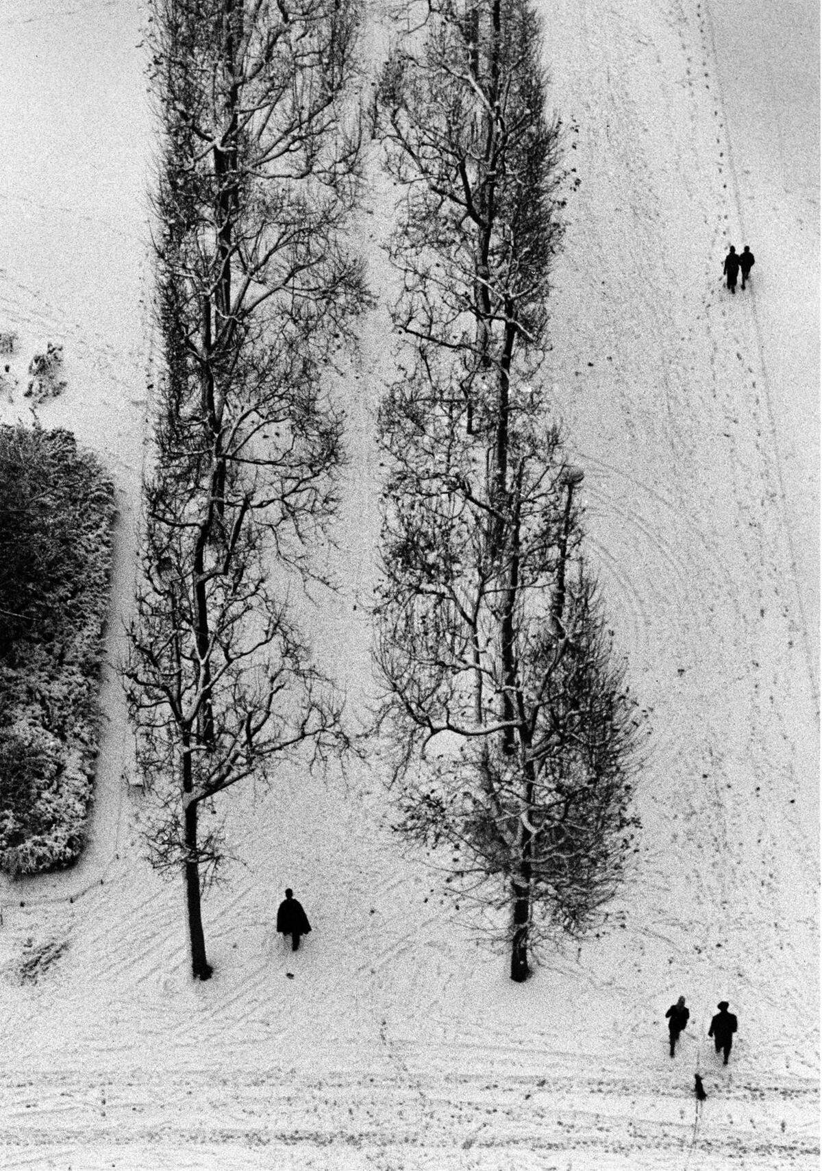 "Der Winter als Sujet hat in der Schweizer Fotografie eine lange Tradition. Schnee und Kälte verwandeln eine Landschaft vollständig, kaschieren viele ihrer Eigenheiten und reduzieren sie auf Kontraste, Flächen und Strukturen. Der Winter lädt ein, einen Ort neu und anders zu betrachten", heißt es in der Aussendung zur Schau. Viele Künstler und Fotografen hätten sich von diesem formalen Potential inspiriert. Hier: Sabine Weiss, Paris, 1952.