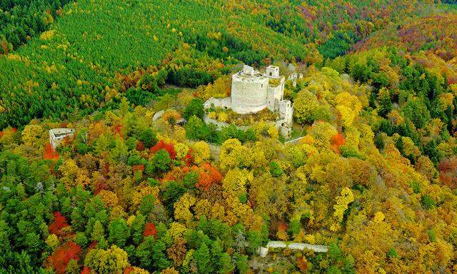 Ruine Landsee, Namenspate für den Naturpark Landseer Berge.