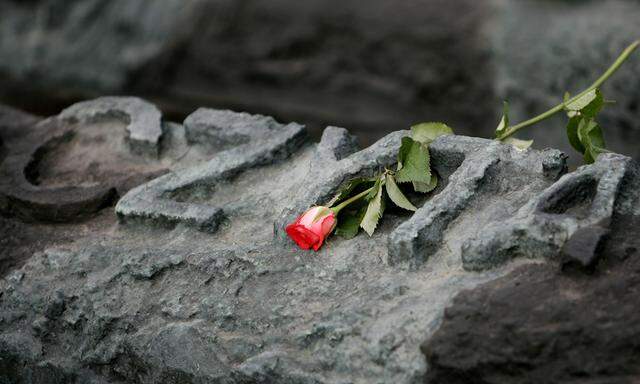 Eine rote Rose auf einem Katyn-Gedenkstein.