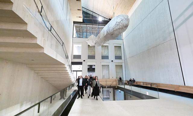 Der Praterwal hängt allein in der zentralen Halle des sanierten Wien-Museums. Innenausbau und Aufbau der neuen Dauerausstellung stehen noch bevor.