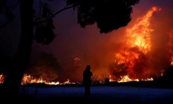 Zuletzt hatte es 2007 solche verheerenden Brände in Griechenland gegeben. Damals starben auf der südlichen Insel Evia 77 Menschen. Wie andere europäische Länder hat Griechenland derzeit mit einer Hitzewelle mit Temperaturen von bis zu 40 Grad zu kämpfen. Auch in Schweden und Finnland sind schwere Waldbrände ausgebrochen.