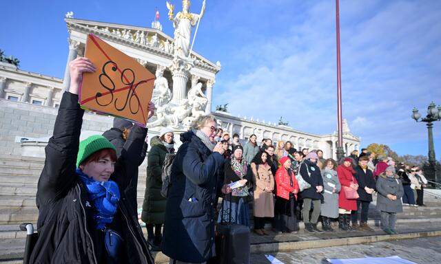  Medienaktion von Österreichischer Frauenring (ÖFR), Bundesjugendvertretung (BJV) und Amnesty International Österreich mit dem Titel „50 Jahre Fristenregelung - Schwangerschaftsabbruch raus aus dem Strafgesetz!“ 