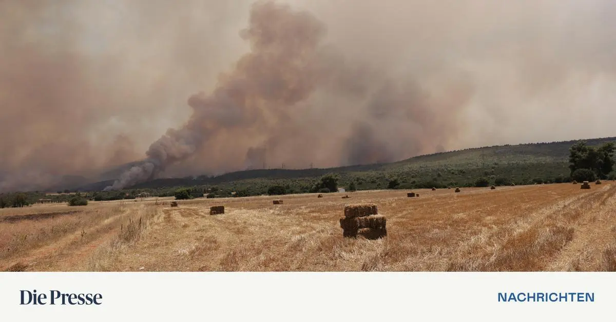 Europe’s heat record is shaky: forest fires in Athens are only partially…