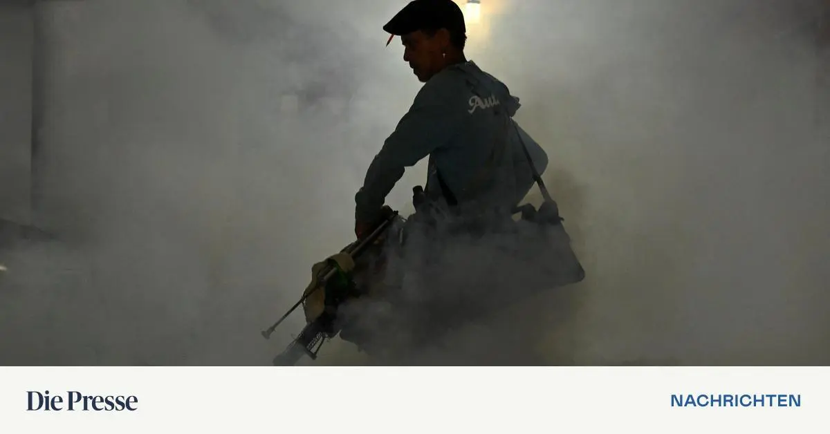 auf-kuba-breitet-sich-das-chikungunya-fieber-stark-aus