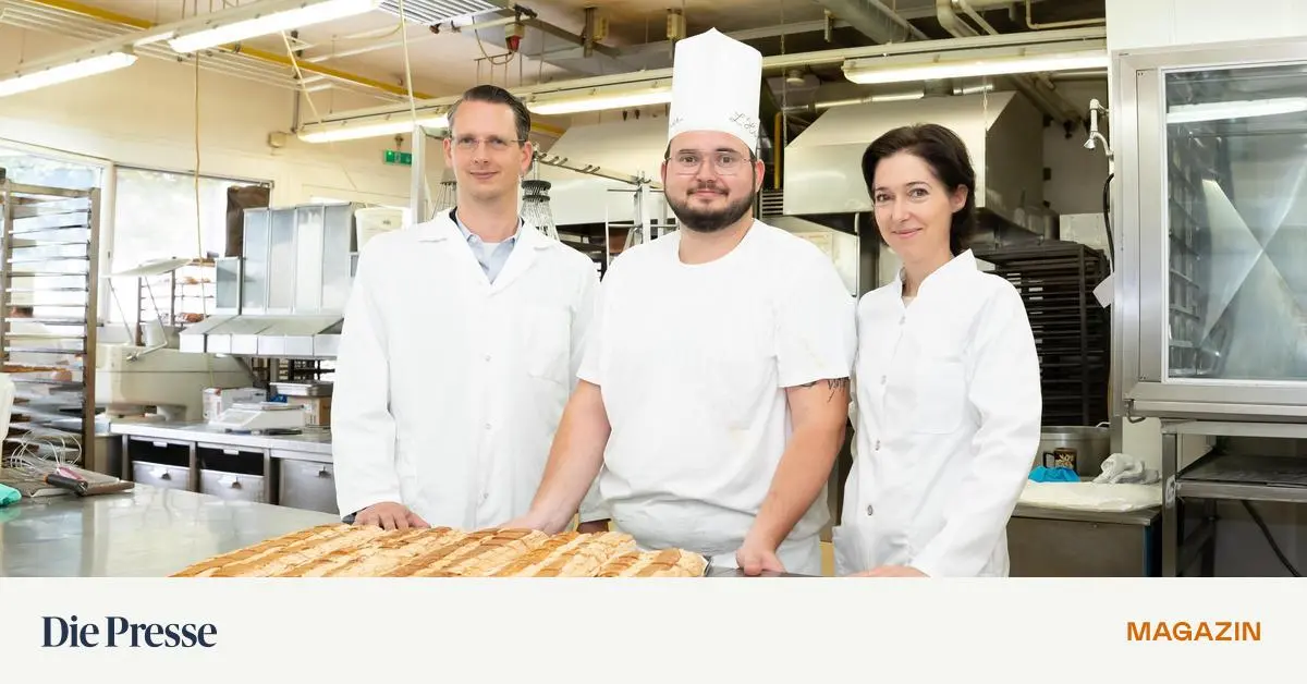 Wie man eine perfekte Kardinalschnitte macht – DiePresse.com