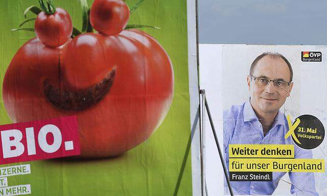 Symbolbild: Wahlkampf im Burgenland