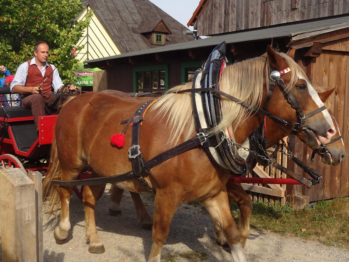 Im Open-Air-Museum von Podorlicko, ein Stück außerhalb der Stadt, werden alte Kulturtechniken vermittelt, Brot kann gebacken, historische Tatra-Autos besichtigt werden, und eine Schaukutsche fährt auf Wunsch im Kreis.