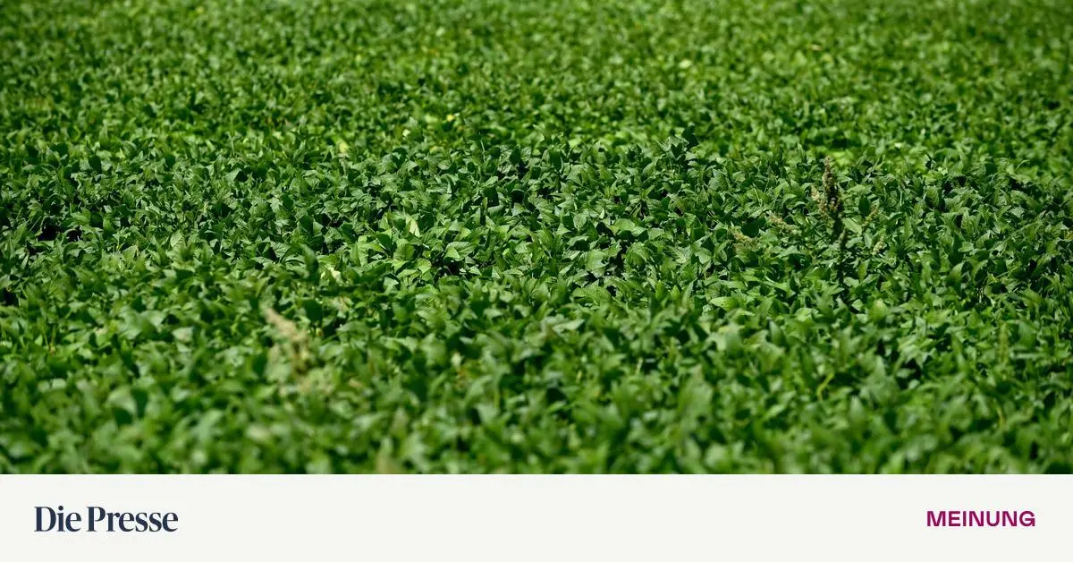 Bayer: Klageflut In Den Usa – So Kämpft Bayer Gegen Das Glyphosat Desaster! - lmdrzf9