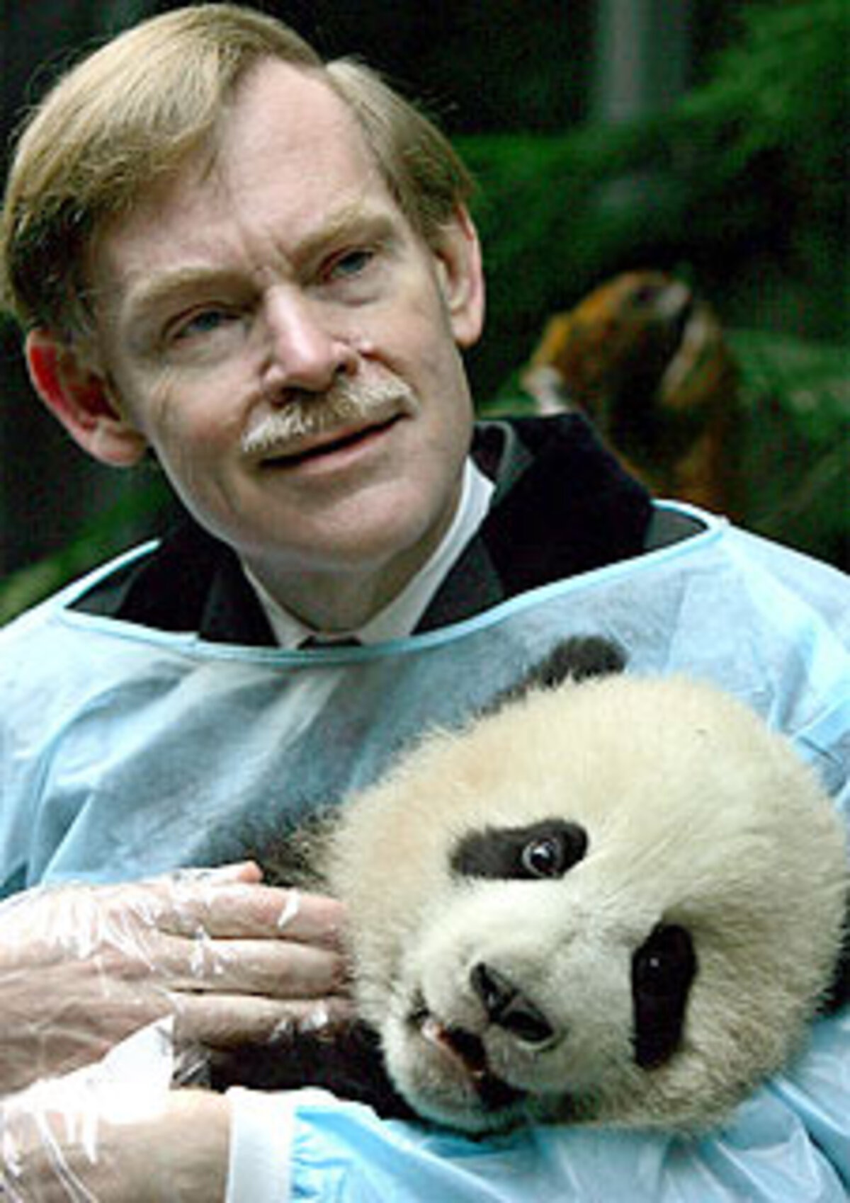 Kritisch äußerte sich der republikanische Senator Barney Frank zur Nominierung von Zoellick: "Ein zweiter hochrangiger Außenpolitiker aus der Bush-Regierung in Folge an der Weltbank-Spitze – ich denke, das ist ein Fehler."