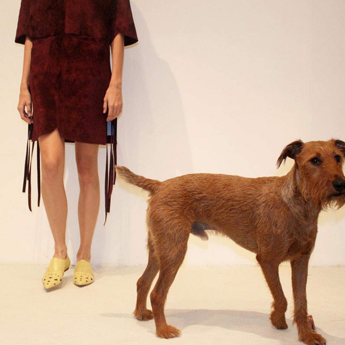 Roscoe, der Irish Terrier von Designer Derek Lam, steht auch bei den Fittings gerne im Mittelpunkt.