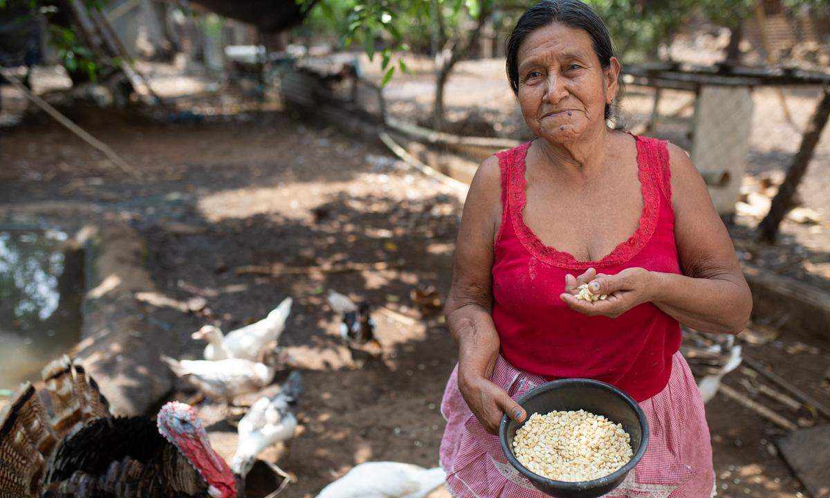Seit April 2020 haben Tausende von Guatemalteken im Land begonnen, weiße Fahnen in den Straßen und aus ihren Fenstern zu hissen, um zu zeigen, dass sie Hunger leiden. Für die 10 Millionen Menschen im Land, die unterhalb der Armutsgrenze leben, hat Covid-19 eine ernste Nahrungsmittelkrise noch verschlimmert. Als die Pandemie ausbrach, schätzte man, dass etwa 3,3 Millionen Menschen von einer Gesamtbevölkerung von 14,9 Millionen auf humanitäre Hilfe angewiesen waren. Chronische Armut und mehrere aufeinander folgende Dürrejahre verschärften die Krise noch mehr. 542 Artikel berichteten dem Care-Bericht zufolge über die Krise in Guatemala.