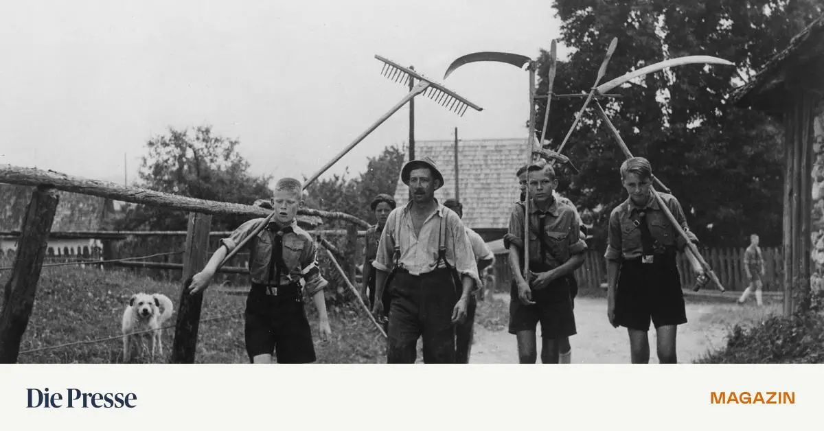 Waren-die-Nazis-Gr-ne-premium-