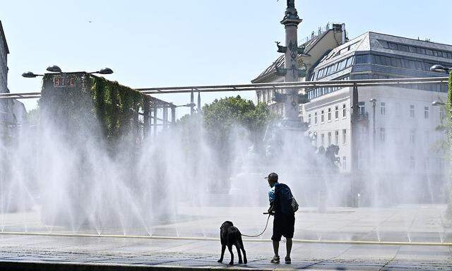 Abkühlung gibt es in Wien vielerorts. Man muss nur wissen, wo. 