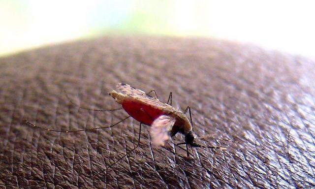 KENYA MALARIA