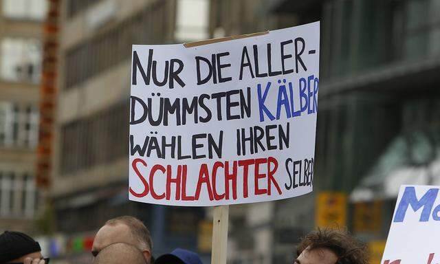 Germany Protest against Jews in the AfD A protester holds a sign that reads Only the most stupid ca