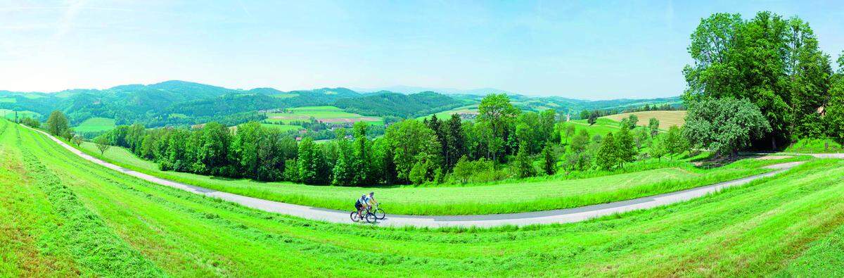 Nicht weit von Wien entfernt, aber schon eine ordentliche Bergwertung: "Vom Buckl zum Berg" führt die 135 Kilometer lange Radtour durch die Wiener Alpen, sprich von der Buckligen Welt in das Schneebergland. Das lässt sich in zwei Tagen mit dem E-Bike locker schaffen - und als Radreise buchen. Startpunkt ist Krumbach, und man beginnt gleich mit einem Menü im Krumbacherhof. Andreas Ottner, der Wirt und Initiator der Tour, gibt einem auch noch Tipps auf den Weg. Sechs Stunden lang geht es den Feistritztal-Radweg entlang, zwischen Krumbach über Kirchberg nach Grünbach werden an die 950 Höhenmeter bewältigt. Stopps sind kulinarischer Natur, etwa beim "Grünen Baum" in Kirchberg oder im "Zur Schubertlinde" in Grünbach, wo die Radfahrer übernachten und die kürzere zweite Etappe (375 Höhenmeter) retour nach Krumbach vor sich wissen. >> Mehr Infos zu der Tour