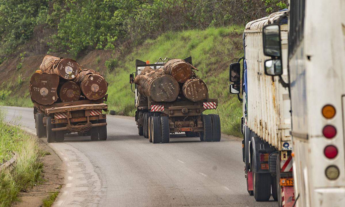 Dicke Stämme rattern vorbei, Nachschub für den Export von Tropenholz. Die Rodung der dichter besiedelten Gebiete Zentralafrikas schreitet voran.