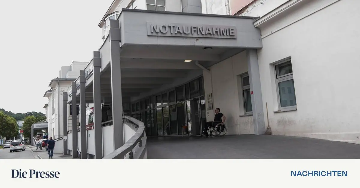 89-J-hriger-sticht-in-der-Steiermark-auf-Ehefrau-ein