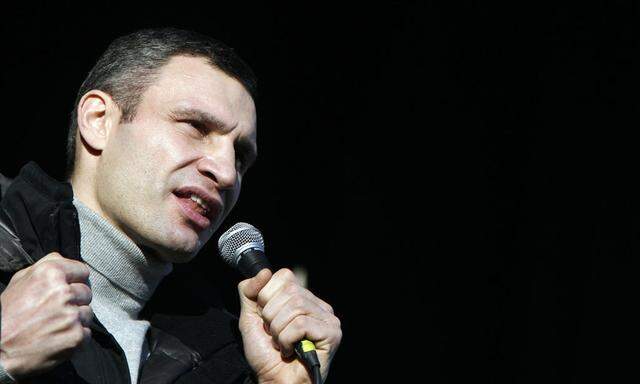 Opposition leader and boxing champion Klitschko speaks to protesters during a pro-European integration rally in Independence square in Kiev