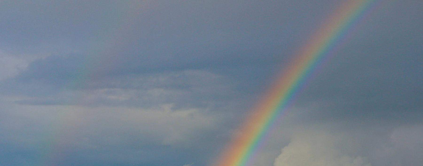 Auf Regen folgt Sonnenschein - und oftmals ein Regenbogen-Revival. 