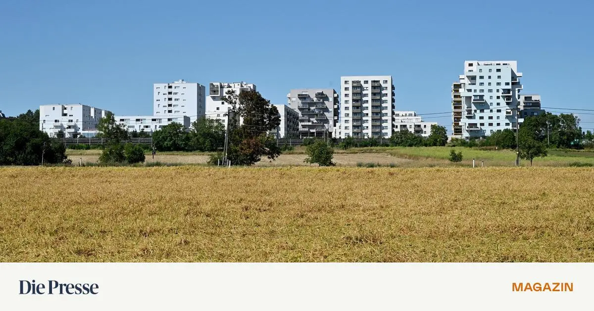 Einfluss-auf-Immo-Branche-KI-auf-dem-Boden-der-Realit-t-premium-