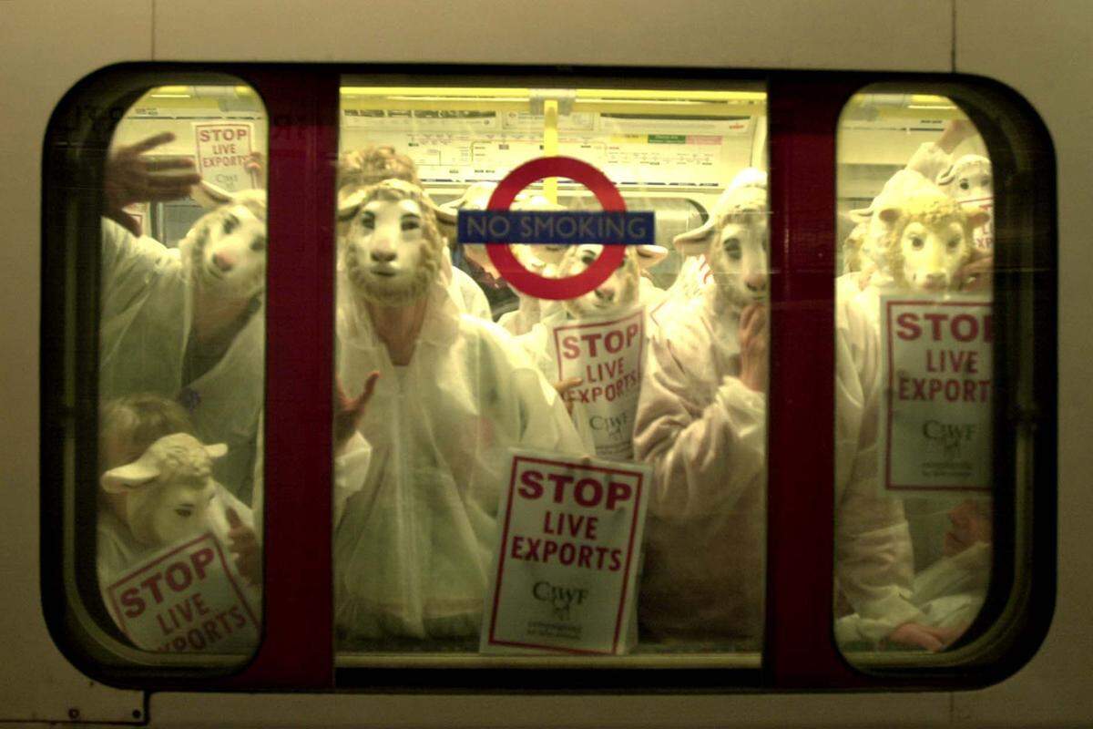 Aufgrund ihrer Popularität und den guten Fotomotiven wird die Londoner U-Bahn auch immer wieder benutzt, um auf bestimmte Themen aufmerksam zu machen, wie hier 2002 gegen den Massentransport von Tieren.