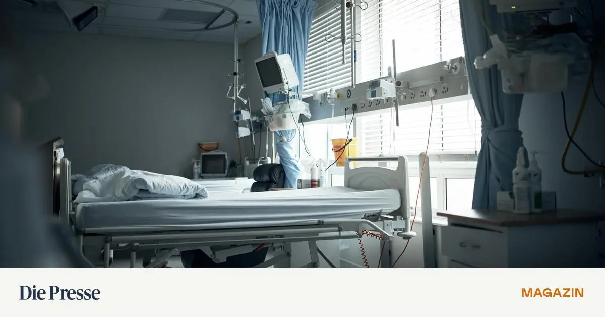 Privatversicherungen-Welche-es-gibt-und-was-sie-k-nnen-premium-