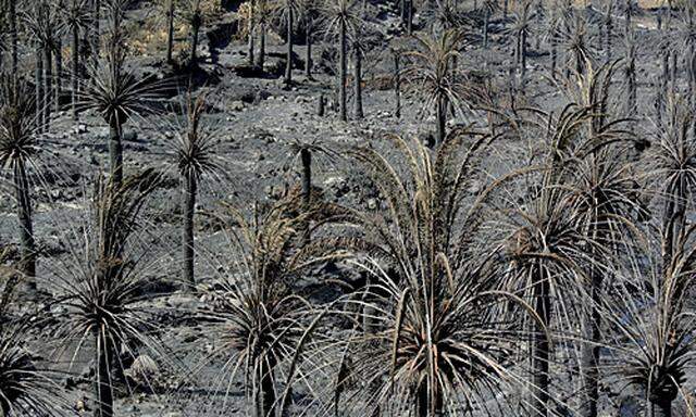 Gomera Feuer Brandstiftern gelegt