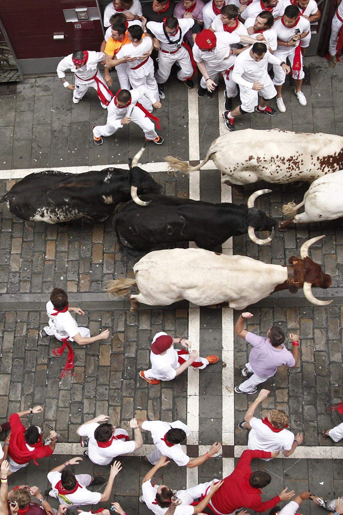 Die Stiere werden dabei nicht nur von einigen Ochsen begleitet, sondern auch von den Mozo (Läufern), traditionell in weiße Hemden und Hosen gewandet - mit rotem Halstuch.