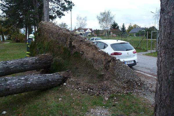 Niederösterreich: Einsatzkräfte der FF St. Georgen bei Aufräumarbeiten in St. Georgen aufgrund umgestürzter Bäume.