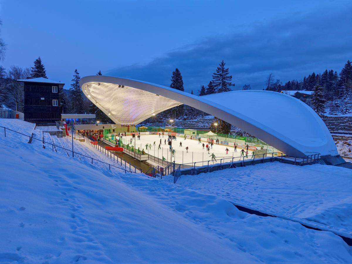 Die Firma Zeman aus Wien erhielt den Sonderpreis für Ingenieurskunst für die "Schierker Feuerstein Arena" (Graft Architekten) in Deutschland.