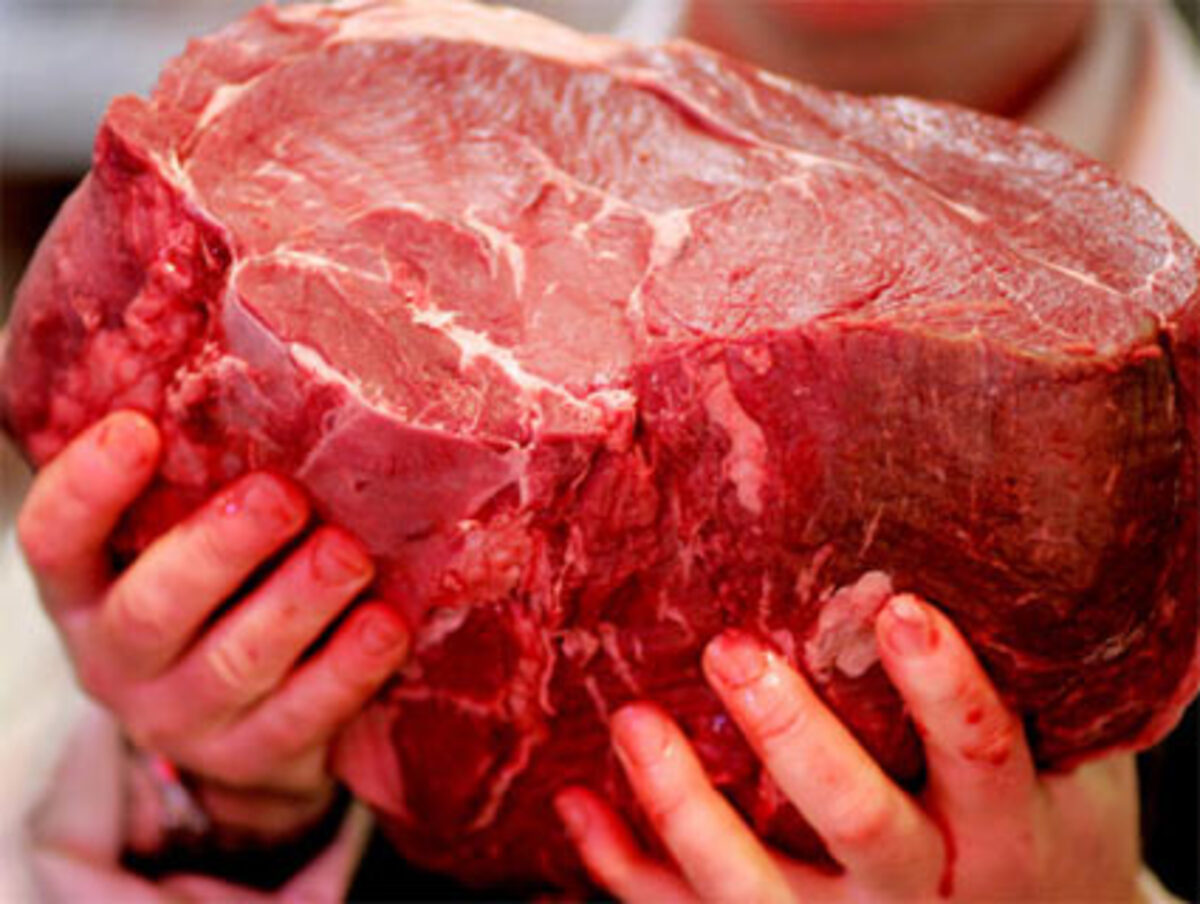 Fleischstreit mit Polen  Warschau blockiert per Veto den Startschuss für ein neues EU-Partnerschaftsabkommen mit Russland, das zentraler Gipfel-Punkt sein sollte. Polen fordert von Moskau zuvor den Fall eines Handelsembargos gegen polnisches Fleisch. Litauen stützt das polnische Veto. Es fordert seinerseits neue Öllieferungen durch die Druschba-Pipeline, die Russland vor zehn Monaten gestoppt hat.