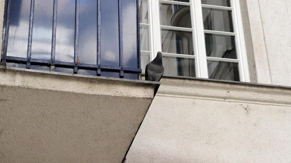 Blutende Kopfwunde: Betagtes Ehepaar in Wien brutal beraubt 