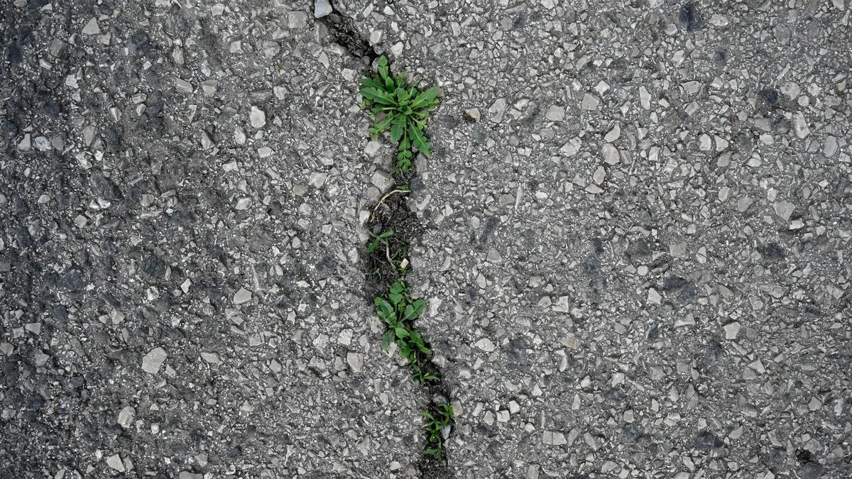 Klimaschutz-Ja-aber-bitte-nicht-wenn-er-mich-betrifft-premium-