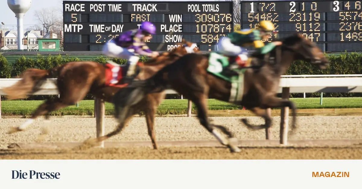 Wollen-wir-wetten-dass-Gr-nland-bald-zu-Amerika-geh-rt-premium-