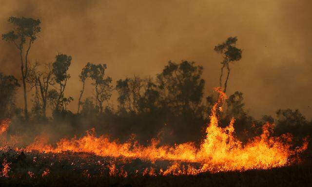 Feuer im Amazonas-Gebiet
