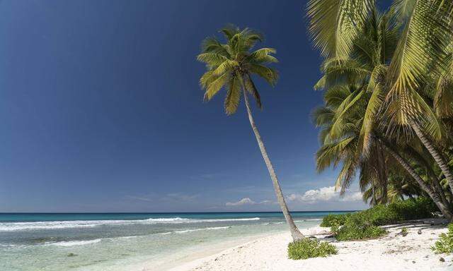 Carribean Dominican Republic beach on the Caribbean Island Isla Saona PUBLICATIONxINxGERxSUIxAUTxH